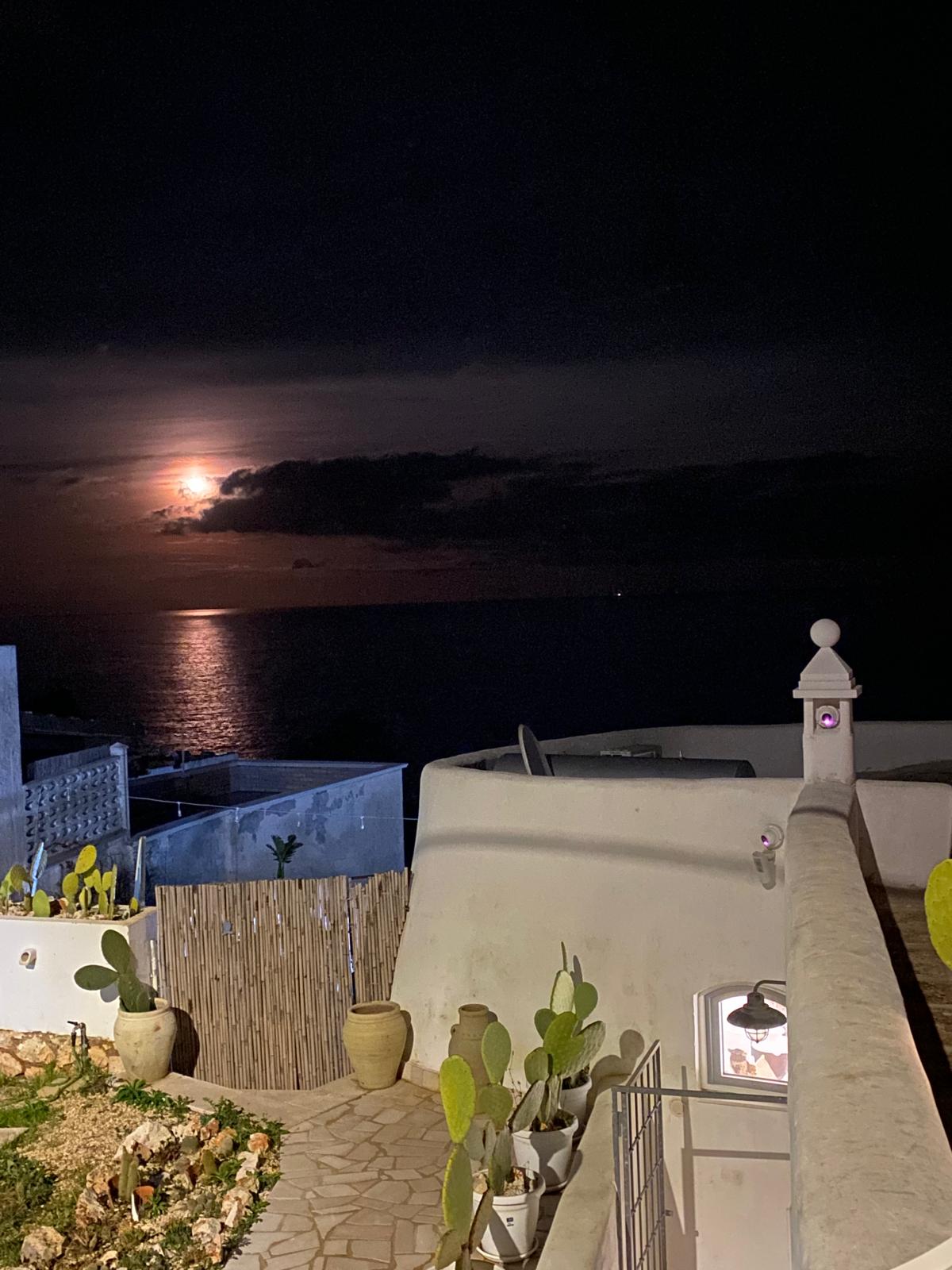 The Paradise - Foto 2